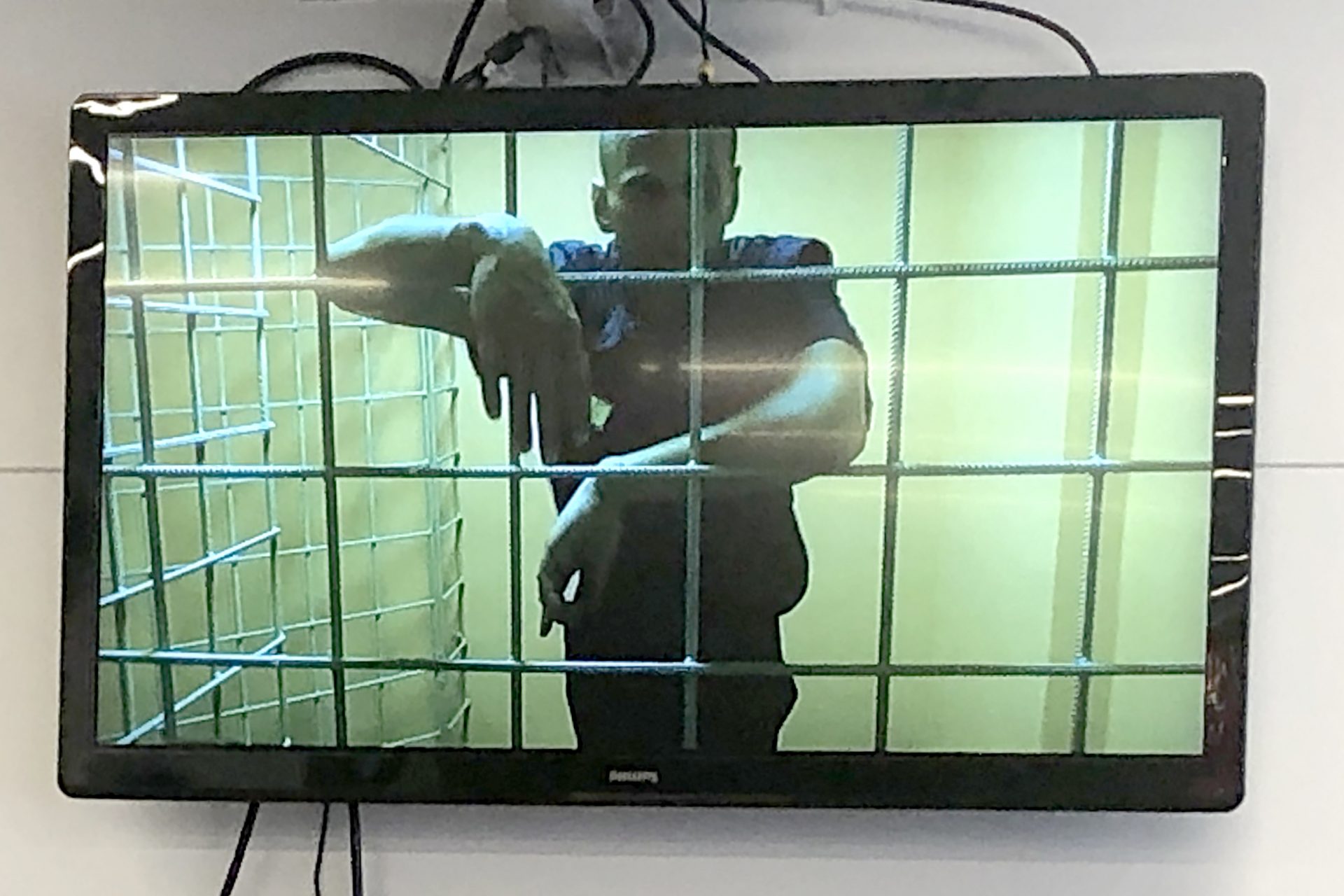 Навальный в тюремной камере